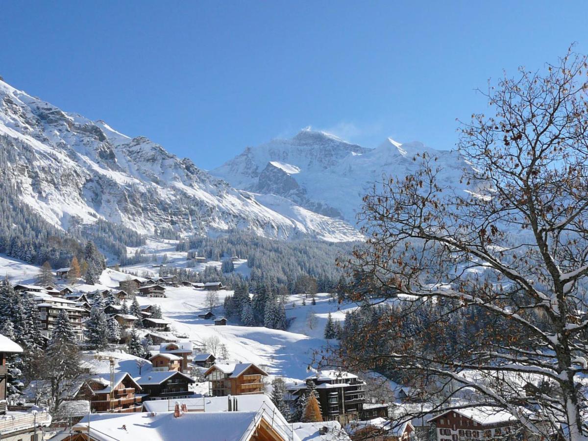 Apartment Panoramapark Soleil Haus D Apt 3 By Interhome Wengen Eksteriør bilde