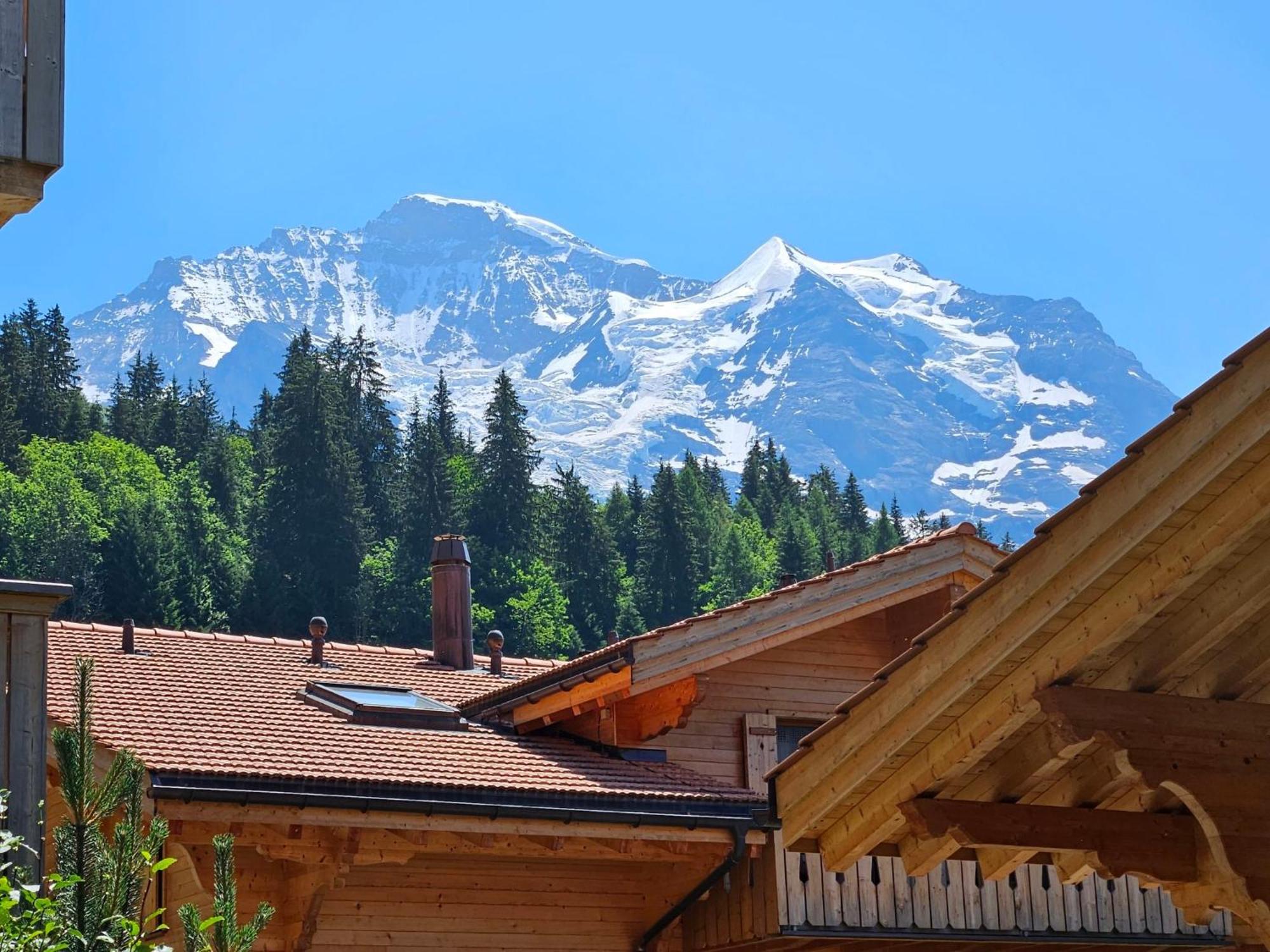 Apartment Panoramapark Soleil Haus D Apt 3 By Interhome Wengen Eksteriør bilde