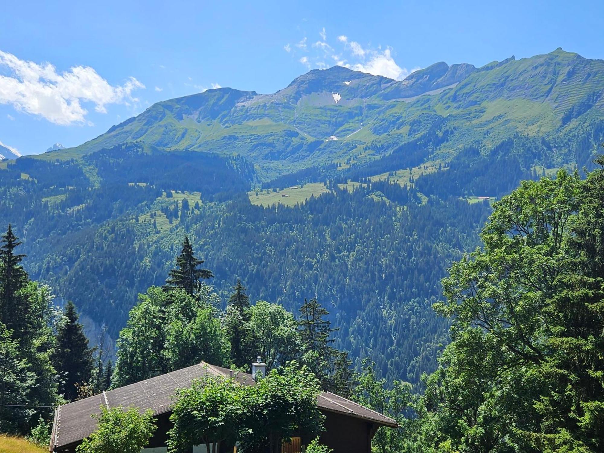 Apartment Panoramapark Soleil Haus D Apt 3 By Interhome Wengen Eksteriør bilde