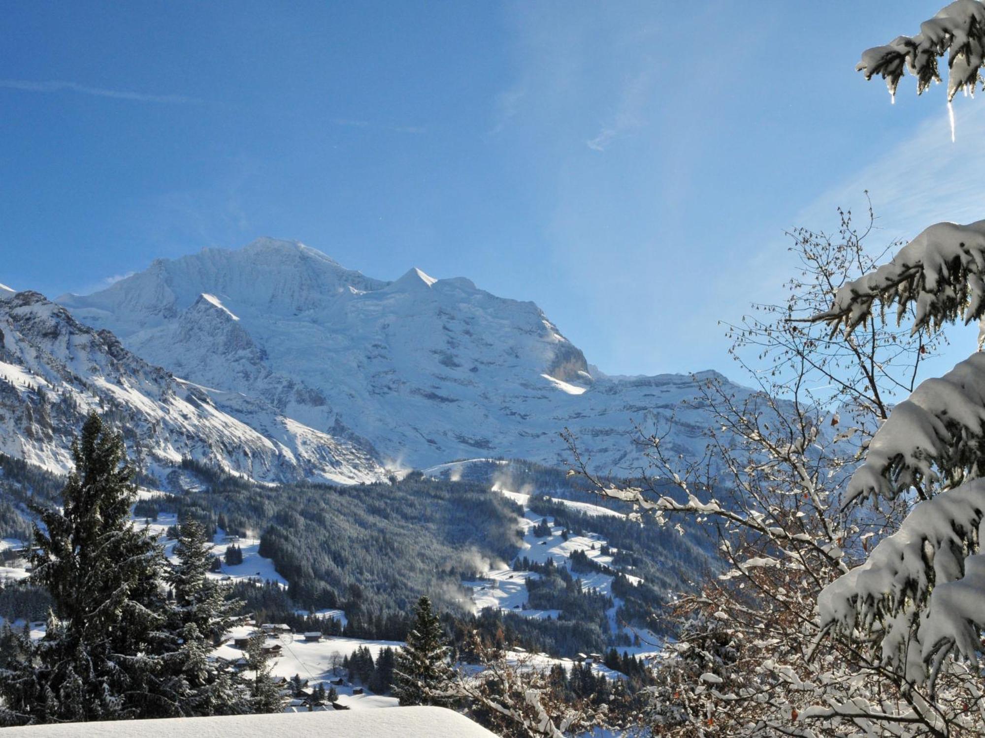 Apartment Panoramapark Soleil Haus D Apt 3 By Interhome Wengen Eksteriør bilde